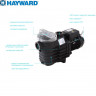 Насос Hayward SP2503XE61 EP33 (220В или 380В, 0,33HP), 7,5м куб/час, 0,58кВт