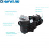 Насос Hayward SP2503XE61 EP33 (220В, 0,33HP), 4,8м куб/час, 0,45кВт